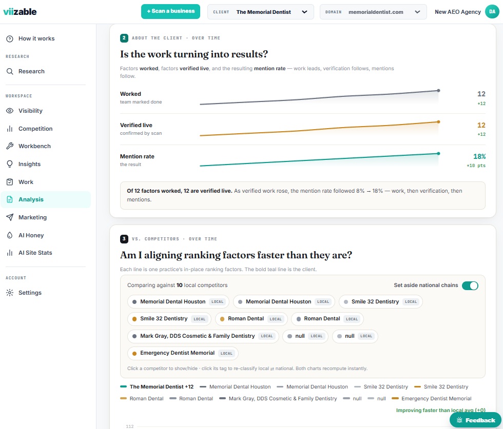 viizable agency portfolio analysis