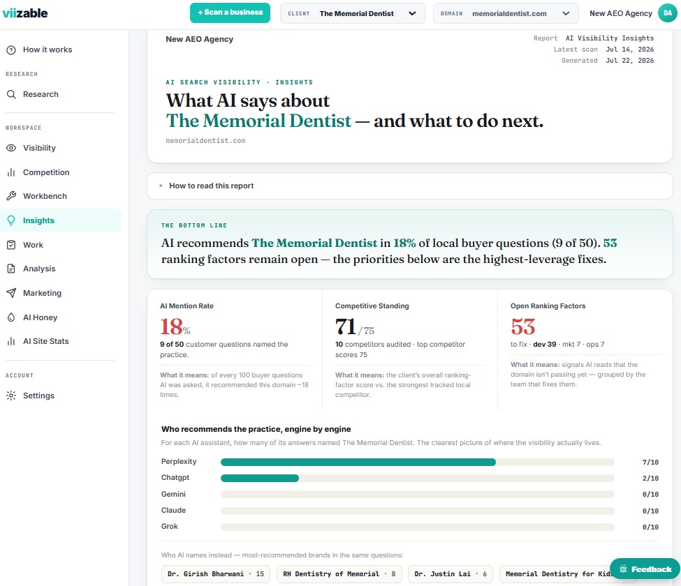 agency-branded viizable client report